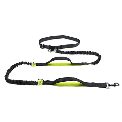 Adjustable fluorescent green nylon pet leash with sliding mechanism showing 150cm length
