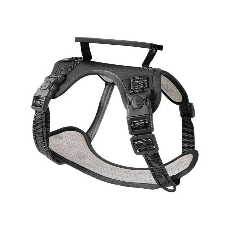 Dog chest harness traction rope in six colours with adjustable sizing for walking control