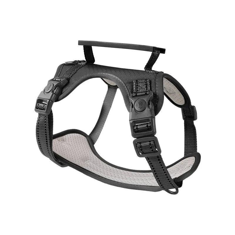 Adjustable polyester dog harness with front D-ring in Lake Blue colour on medium-sized dog
