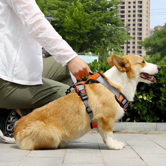 Polyester dog vest harness with hand-holding rope attachment in multiple colour options