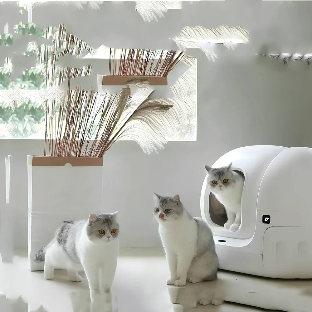 Smart MAX fully automatic enclosed cat litter box in plastic, 620x538x552mm for cats over 1.5kg with 24W power adapter