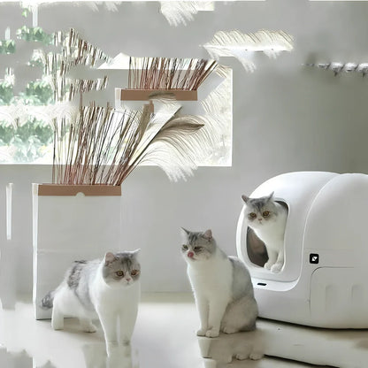 Smart MAX fully automatic enclosed cat litter box in plastic, 620x538x552mm for cats over 1.5kg with 24W power adapter