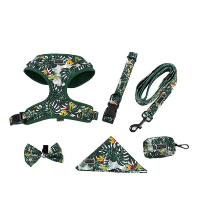 Six-piece adjustable cloth pet harness set with 1.5m haulage rope, collar, pick-up bag, bow tie, and triangular scarf