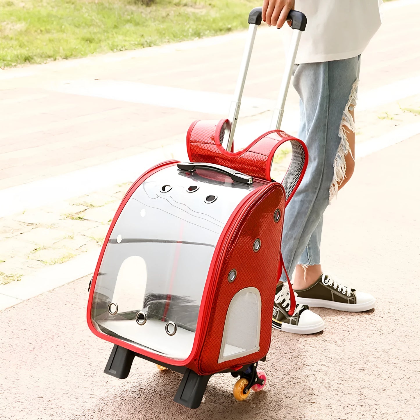 Blue transparent folding pet trolley carrier bag for small dogs and cats on wheels.