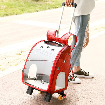 Blue transparent folding pet trolley carrier bag for small dogs and cats on wheels.