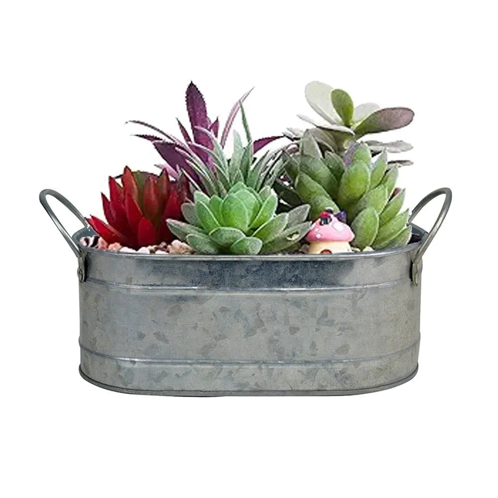 Iron sheet succulent flowerpot on desktop, 15cm diameter, corrosion-resistant and water-saving for indoor plants.