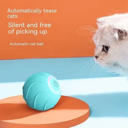 Automatic self-rolling interactive cat toy ball in blue, red, and pink colors with USB charging and bouncing action to engage cats