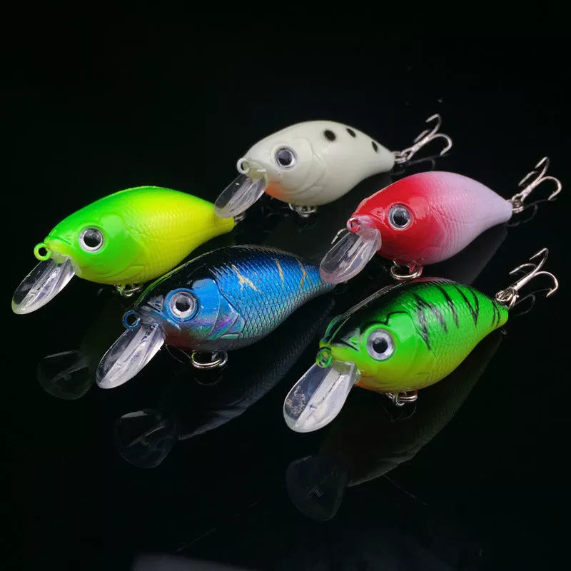 5-piece fishing lure set with vibrant colors for effective minnow road bait