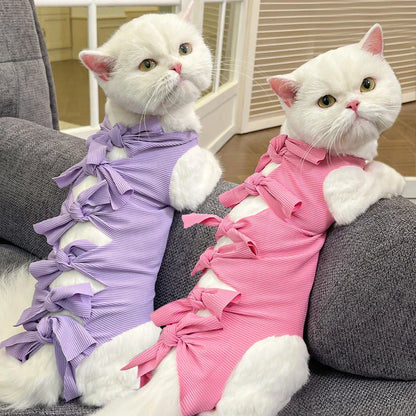 Lace-up cat sterilisation clothing in blue colour on cat showing adjustable back fastening and full-body coverage