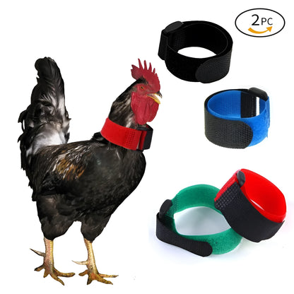 Two nylon poultry collars in yellow and red for chickens, ducks, and geese, no hook and knot design