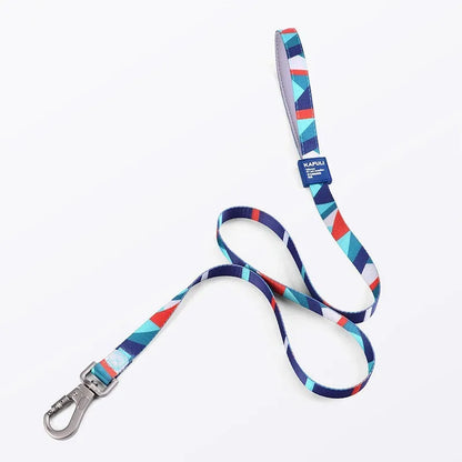 Polyester dog haulage vest with matching lead rope in blue, pink or green