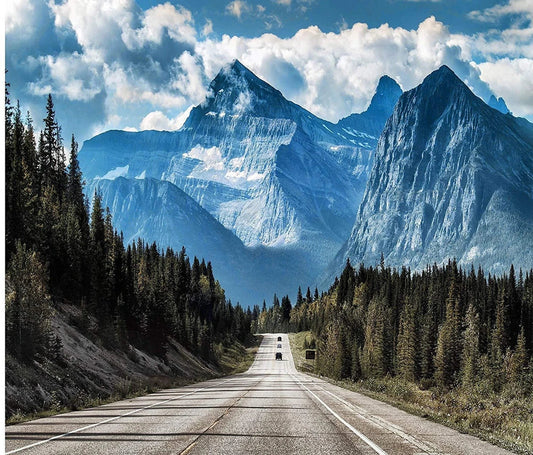 Furniture print tapestry in 100% polyester with sizes from 150x100cm to 150x230cm for wall decoration