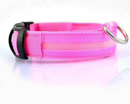 Nylon LED dog safety collar with illuminated fibre optic lights in blue colour, adjustable buckle, and waterproof construction