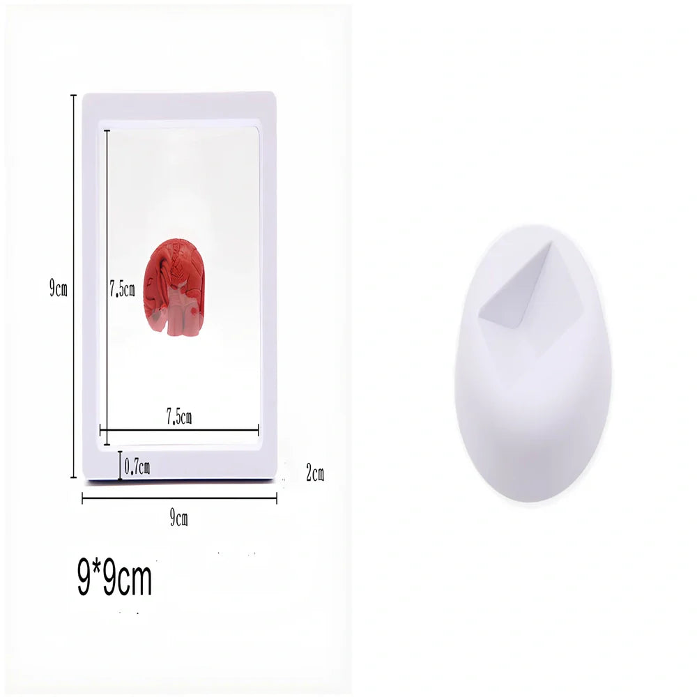 Black 11x11cm suspended 3D floating display frame holder with square base for coins and gems