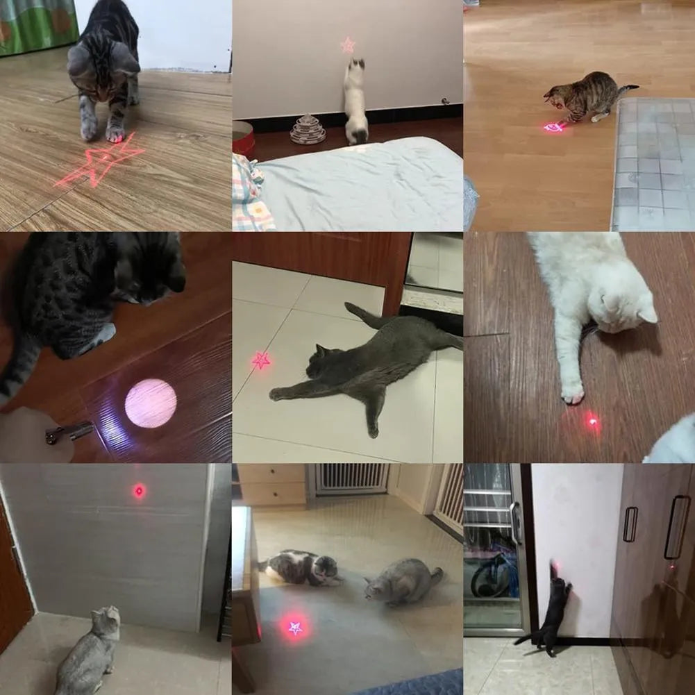 Pink and black infrared cat teaser toy with key chain measuring 5 by 2.5 centimetres
