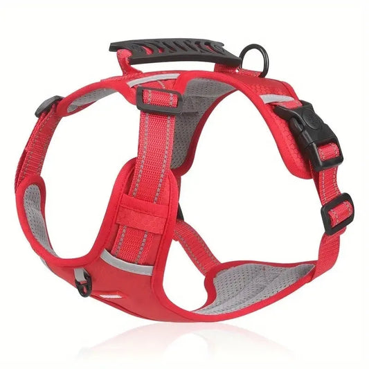 Adjustable polyester dog harness with front D-ring in Lake Blue colour on medium-sized dog