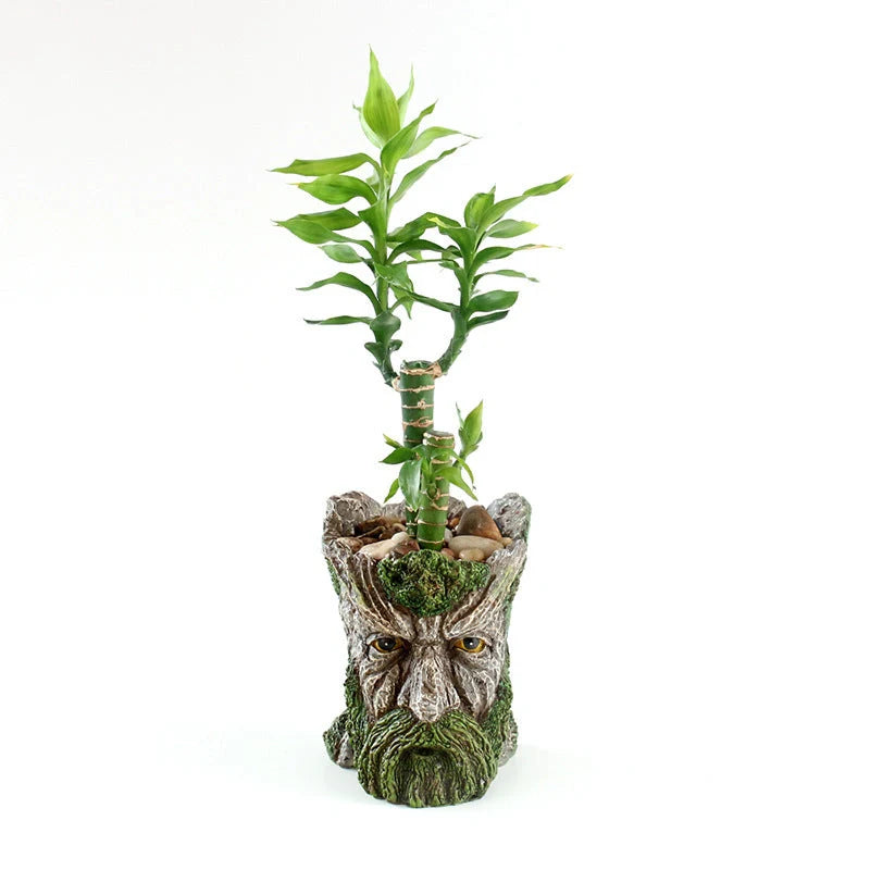 Strongwell Tree Head Old Man Flower Pot in green, resin planter for home decor