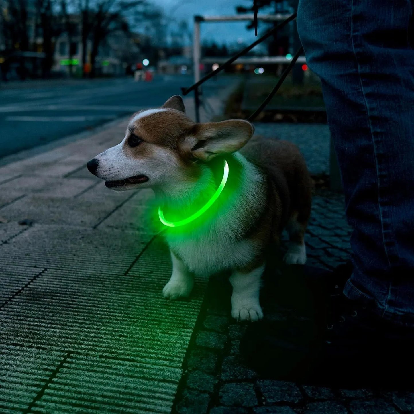 USB-rechargeable LED dog collar with blue glow, adjustable 70cm length, and three flash modes for pet safety.