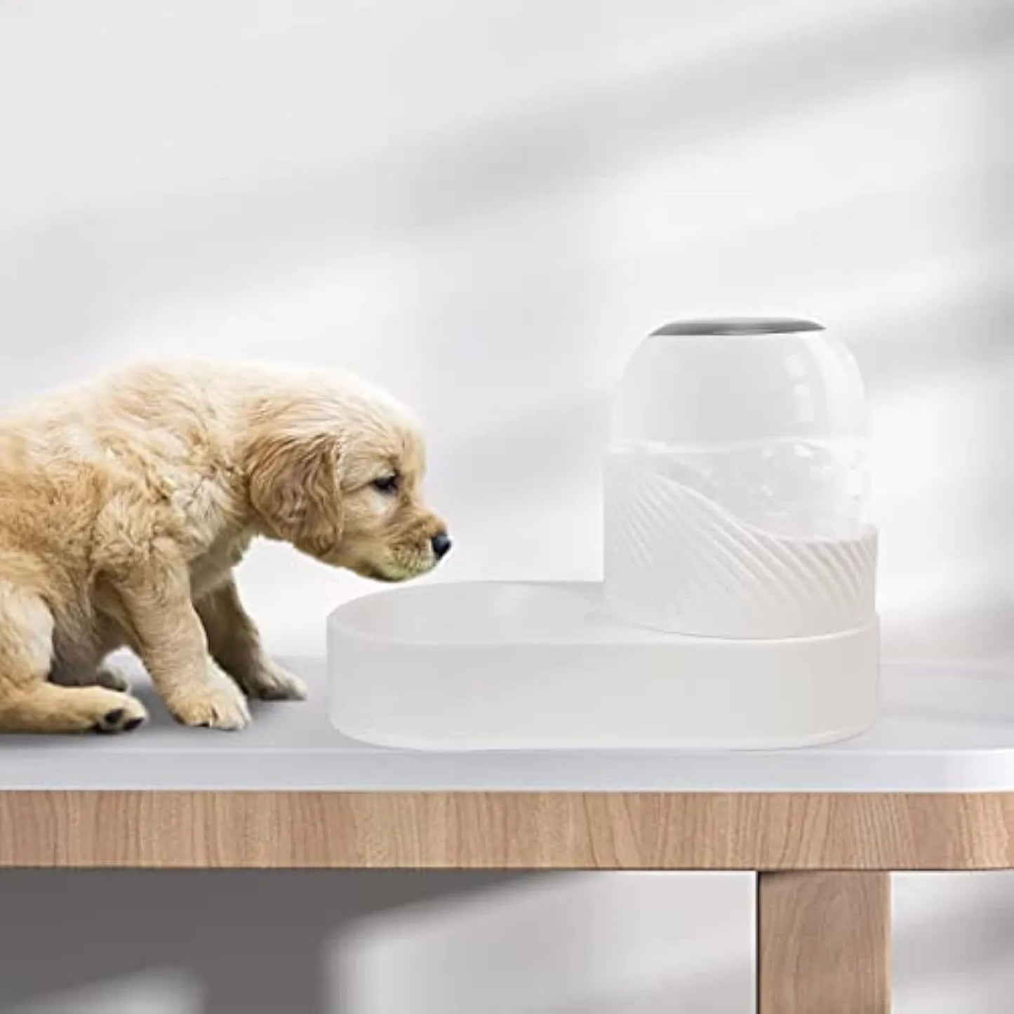 White gravity cat feeder and water dispenser set with wave-shaped design, showing disassembled components