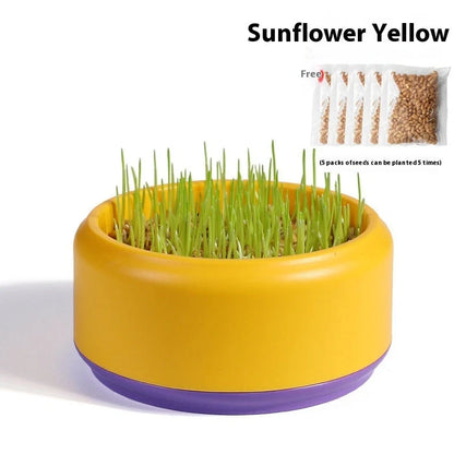 Blue hydroponic cat grass kit with growing cup and seed packets for indoor planting