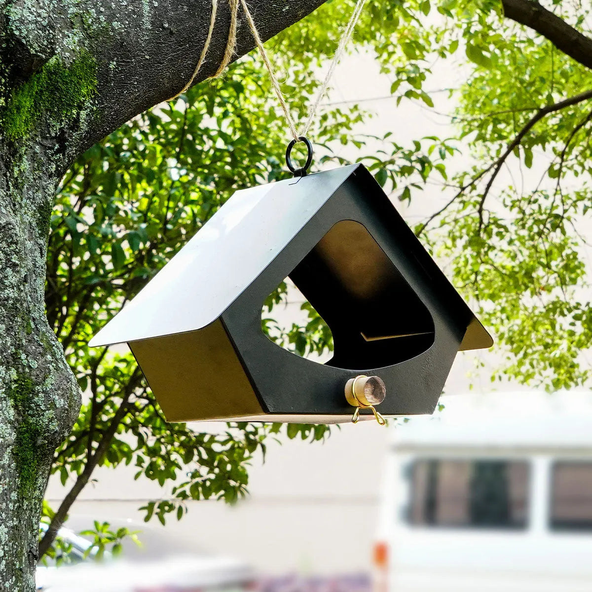 European-style iron bird nest feeder in garden setting, available in black or brown colours