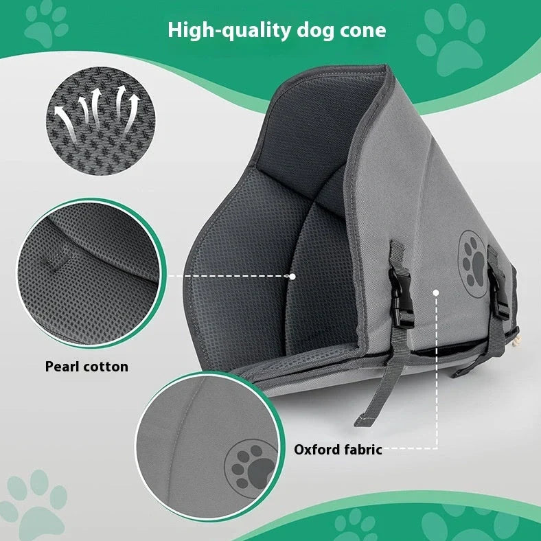 Adjustable pet sterilisation collar showing buckle closure and polyester material texture