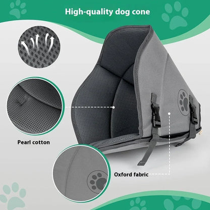 Adjustable pet sterilisation collar showing buckle closure and polyester material texture