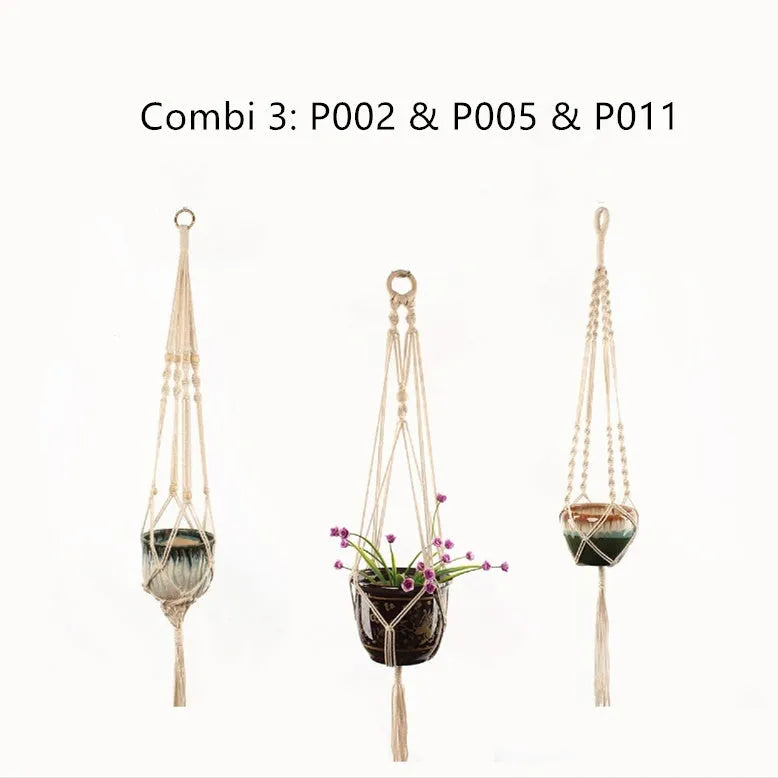 Woven wire lattice plant holder with natural cotton rope, shown in a rustic style supporting a green plant.