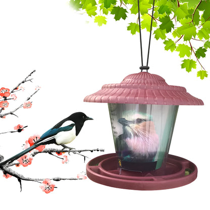 Hanging plastic transparent bird feeder, 18cm x 18cm x 19cm, shown in green or red.