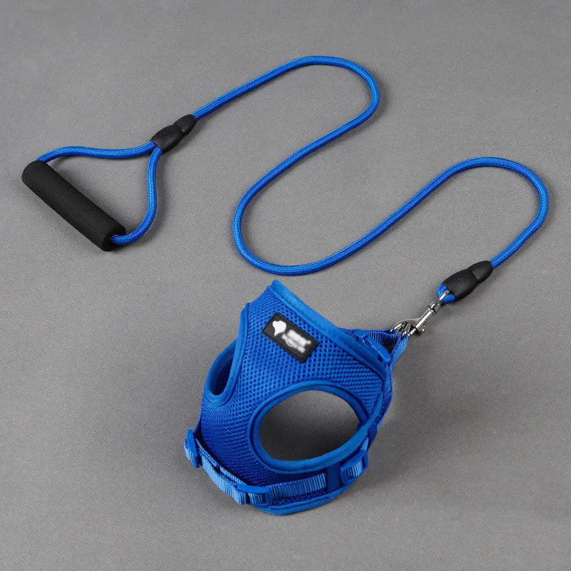 Blue adjustable dog leash with foam handle, 120cm nylon rope for medium-sized dogs