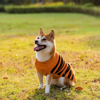 Halloween dog sweater in orange and black designs for small to XL dogs
