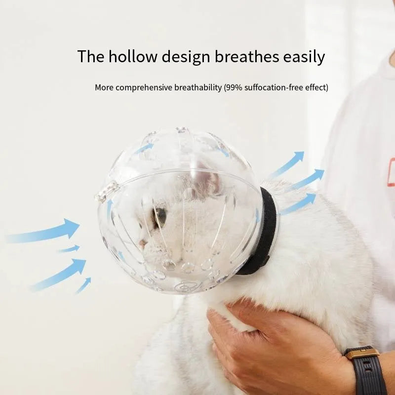 Transparent plastic cat muzzle hood with adjustable Velcro strap shown in three sizes: M, L, and XL.