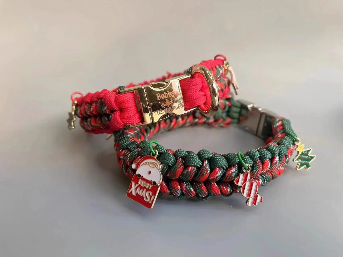 Green hand-held rope dog leash with a P chain and metal release buckle for a large dog.
