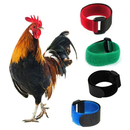 Two nylon poultry collars in yellow and red for chickens, ducks, and geese, no hook and knot design