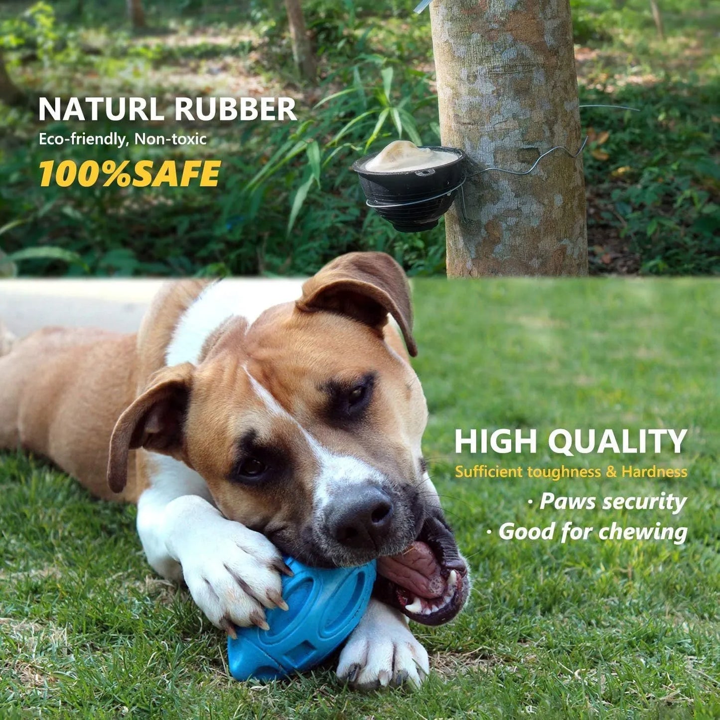 Natural rubber squeaky dog chew ball with surface grooves for medium and large breed dogs