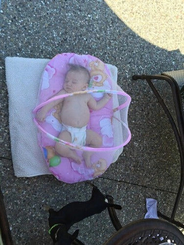 Portable foldable baby bed with mosquito net and sleeping cushion in blue and pink