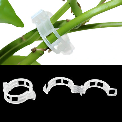Plastic tomato plant grafting clips showing 3-4cm diameter and smooth surface texture