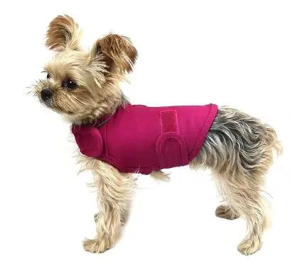 Dog wearing brocade cotton tank top for anxiety relief in brown colour