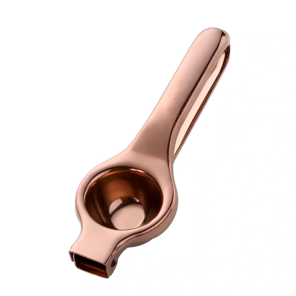 Manual stainless steel juicer with 5.5cm feed opening in gold finish on kitchen counter
