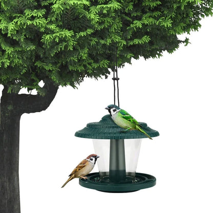 Hanging plastic transparent bird feeder, 18cm x 18cm x 19cm, shown in green or red.