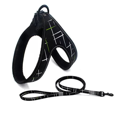 Adjustable reflective dog leash for small and medium dogs in various colors