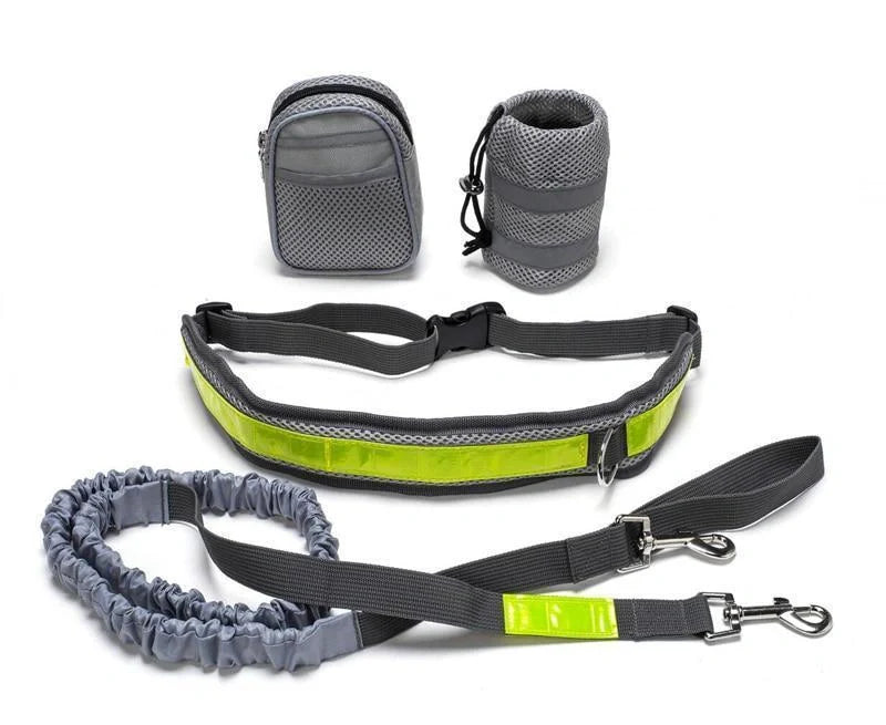 Adjustable hands-free dog leash set in gray, black, green, or red with waist and sundries bags