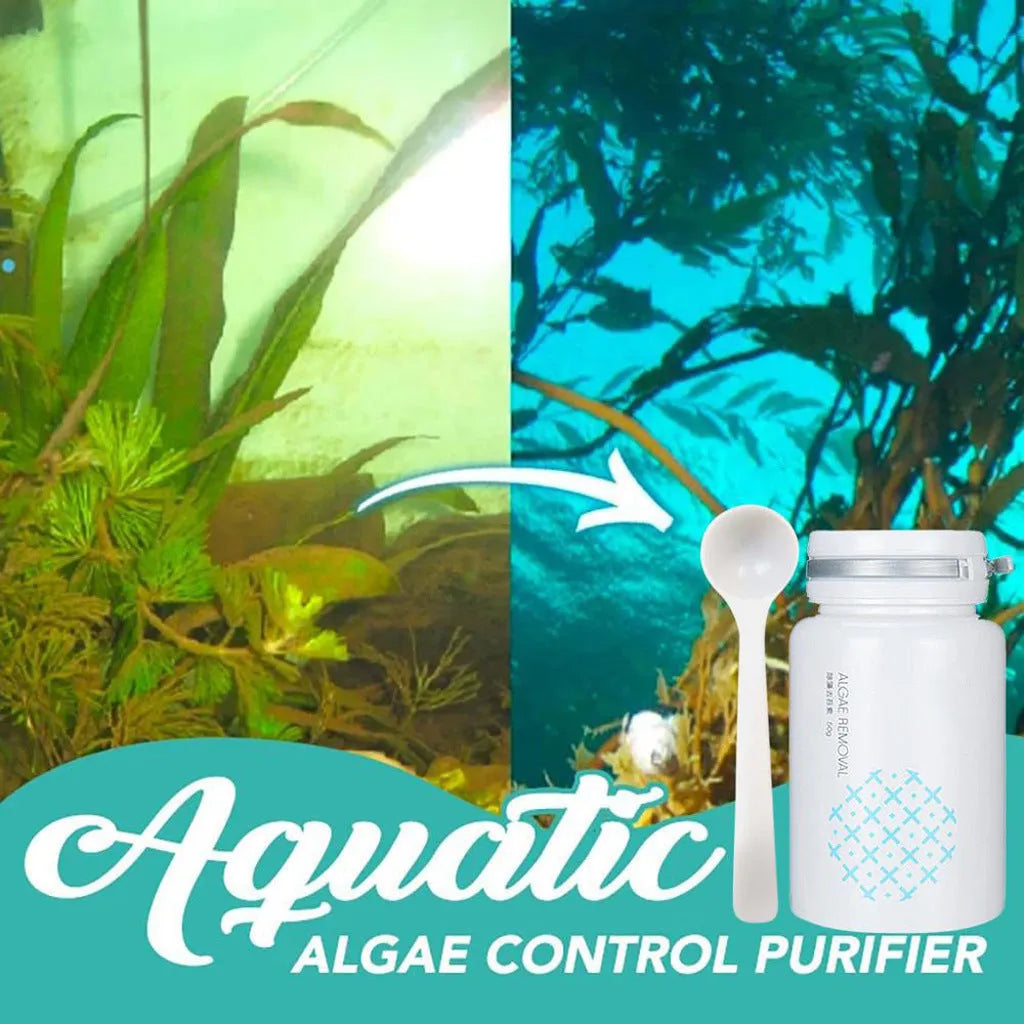 50g algaecide swimming pool treatment for algae and moss removal with dosage instructions