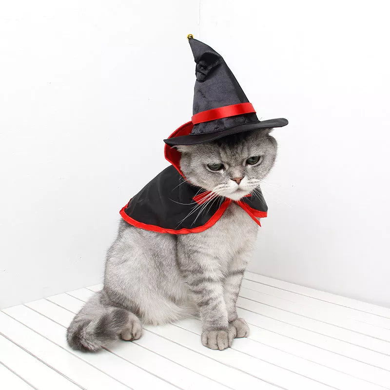 Halloween Warm Pet Cloak in fleece fabric for pet comfort and style