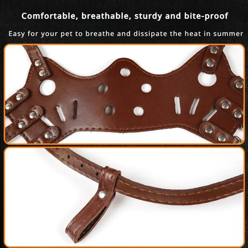 Black dog muzzle silencer for anti-barking and bite prevention on a medium-sized dog