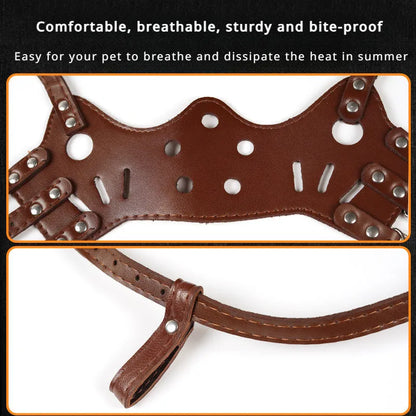 Black dog muzzle silencer for anti-barking and bite prevention on a medium-sized dog