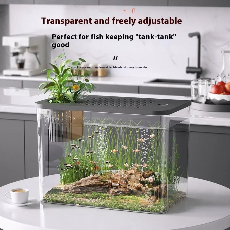 Black ecological betta tank with cover measuring 32cm length, 18.5cm width, and 23cm height