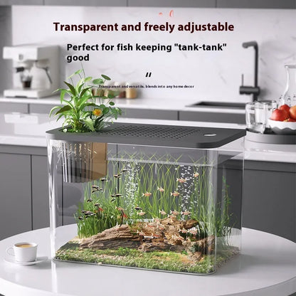 Black ecological betta tank with cover measuring 32cm length, 18.5cm width, and 23cm height