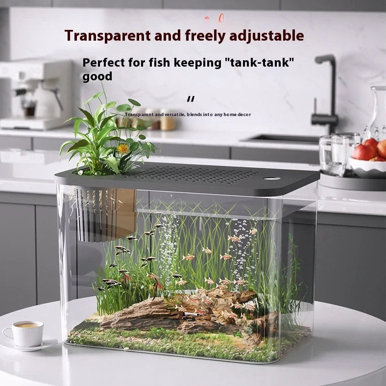 Black ecological betta tank with cover measuring 32cm wide by 18.5cm deep on living room shelf