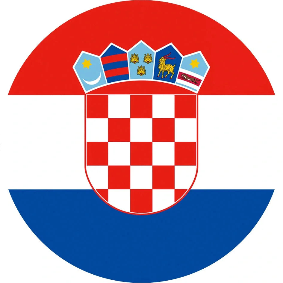 World Cup Qatar football themed biodegradable dishwashing sponges with national flag designs